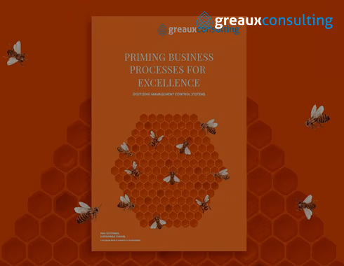 priming business processes for excellence