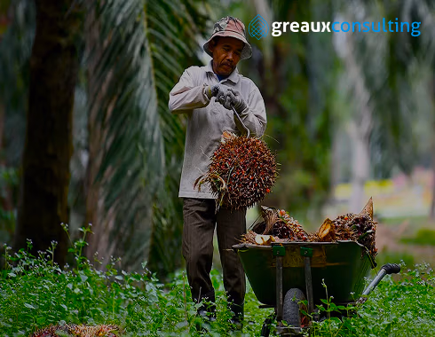 Palm oil Operational Excellence